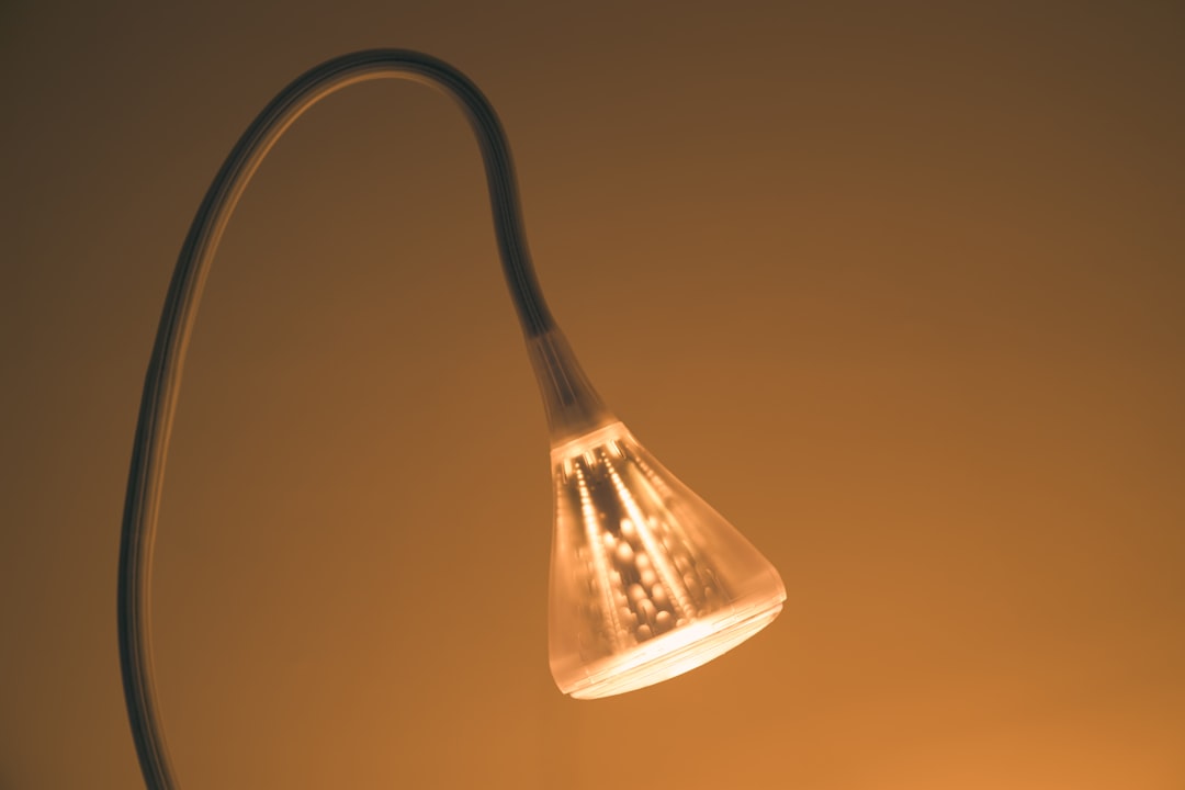 Photo floor lamp